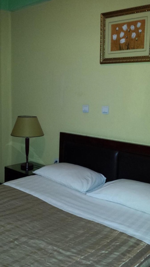 The lions den hotel image 16