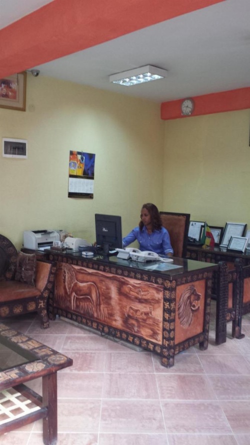 The lions den hotel image 29