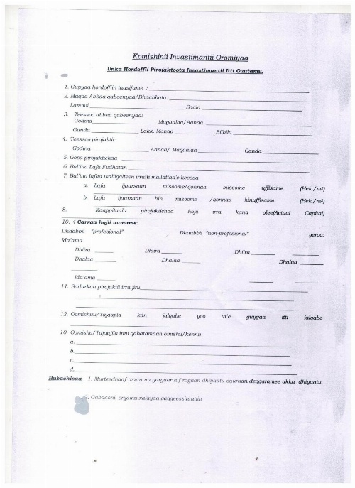 The lions den hotel image 4